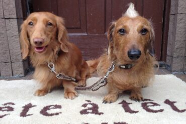 急に寒くなった今週…大人女子の髪と頭皮を守るためのトータルケア