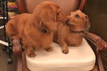 冬の乾燥ダメージは、キューティクルの“構造崩れ”から始まる